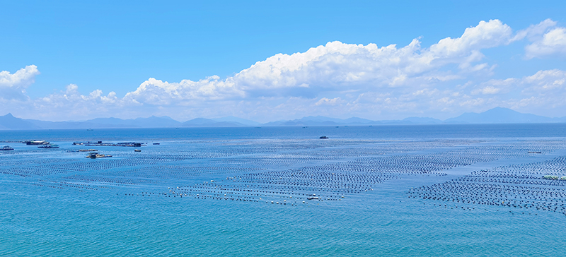 窗外海景图