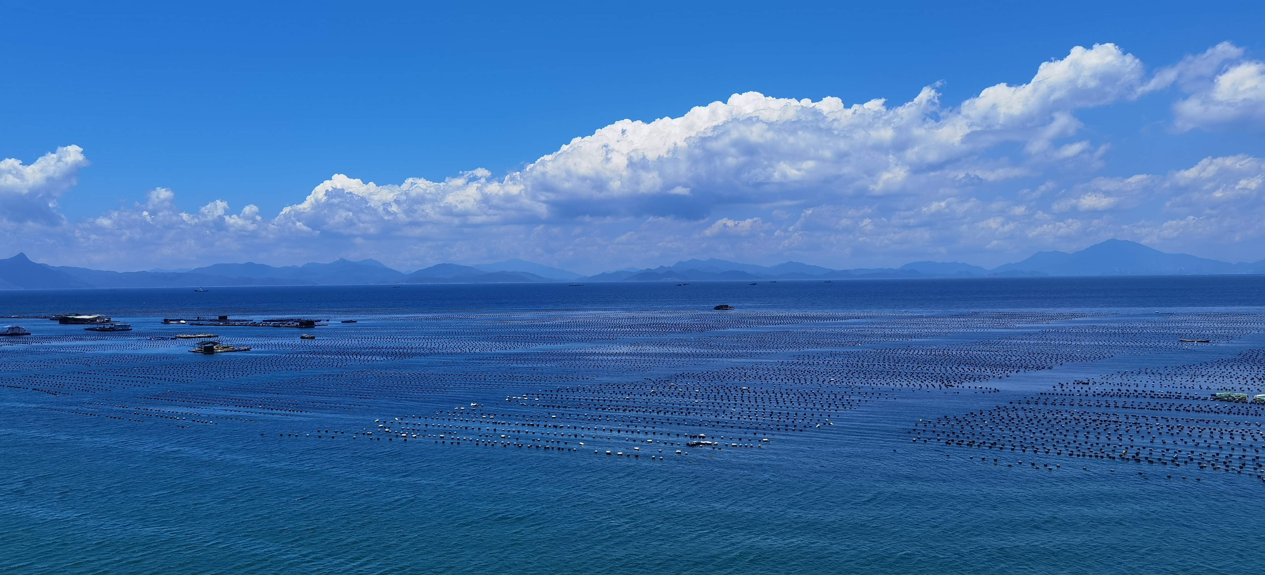 窗外实景(图3)