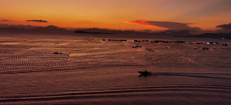 窗外海景图(图6)